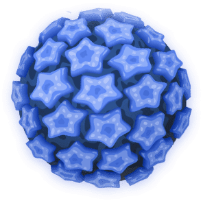 Parásitos intestinales
