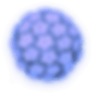 Reinfección parasitaria